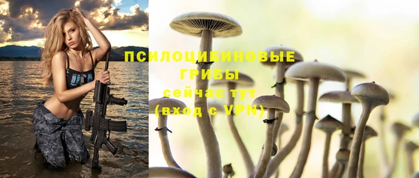соль ск Абдулино
