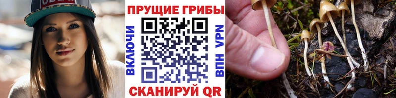 Псилоцибиновые грибы Magic Shrooms  Урень 